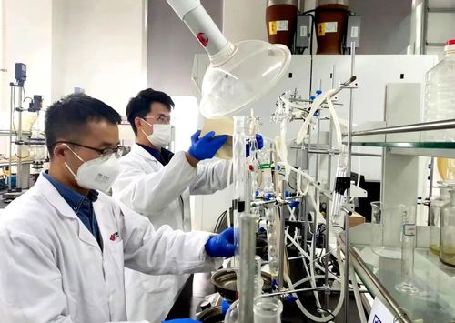 國家能源集團PAO基礎油成套技術 填補國內空白，引領環境科技高質量發展