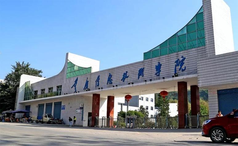 乘風(fēng)破浪的智慧先鋒 重慶信息技術(shù)咨詢服務(wù)發(fā)展觀察